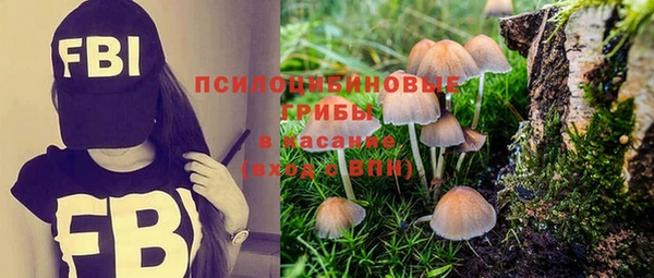 МДМА Абаза